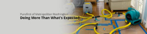 restoration services