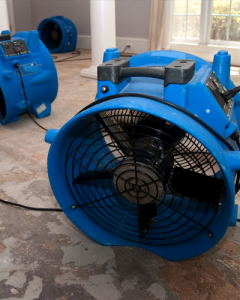Mold Remediation
