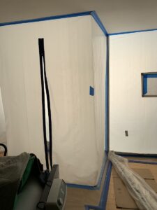 mold mitigation