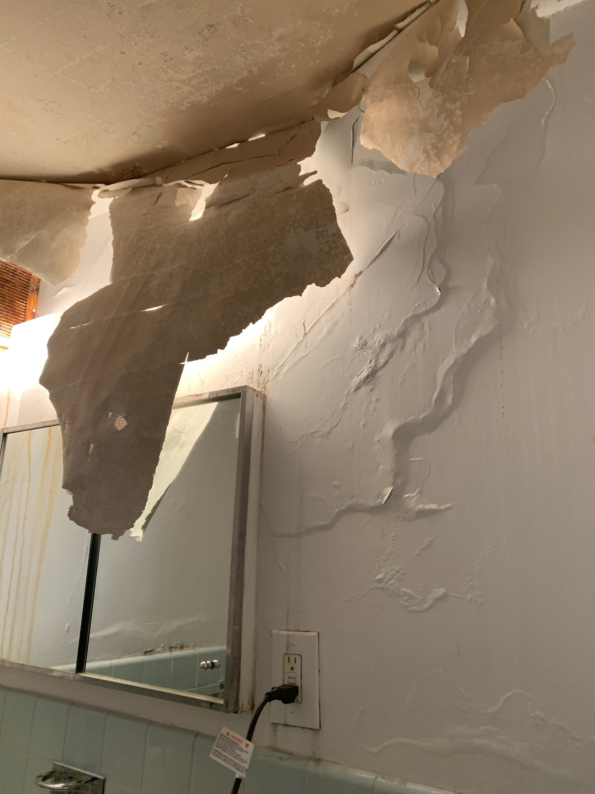damage caused by mold on the walls and ceilings