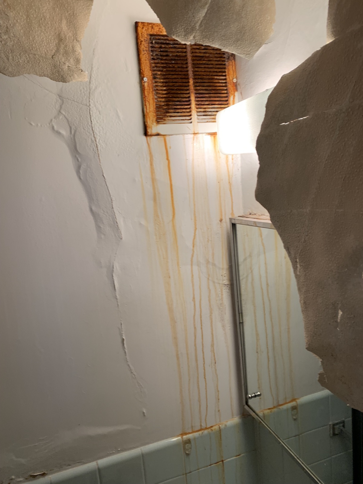 damage caused by mold on the walls and ceilings