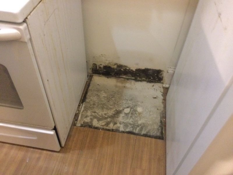 Sewer Water Cleanup in Apartment Units