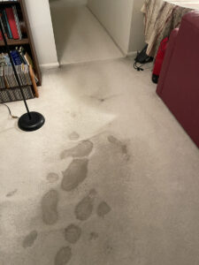 Steps of the water damage process.